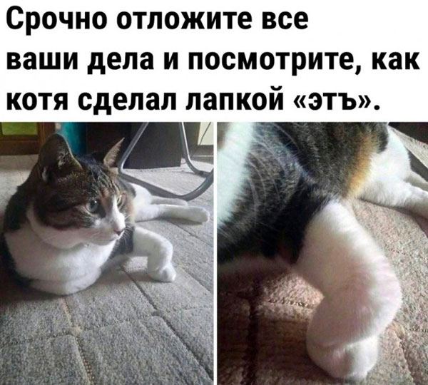 Пятница-жжжж... Баяны-жжжж...