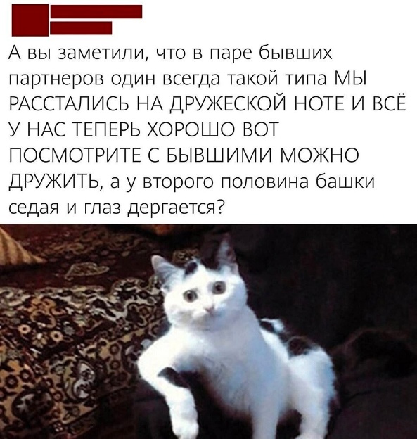 Забавные комментарии из социальных сетей (29.01.24)