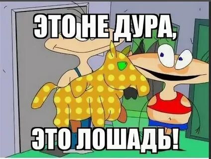 Откровение старой феминистки про мужчин и свою жизнь