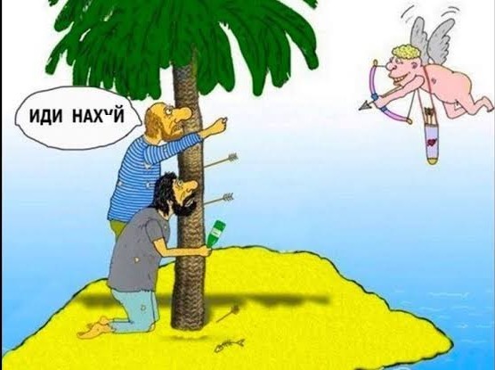 Потерпевших кораблекрушение людей спаcли благодаря надписи «Help», выложенной из пальмовых листьев