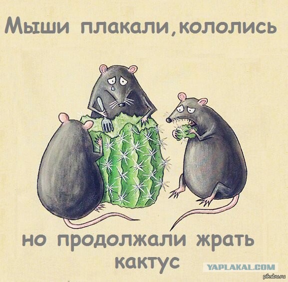 Катя-бревно