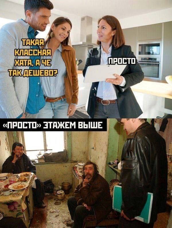 С такими соседями точно не соскучишься