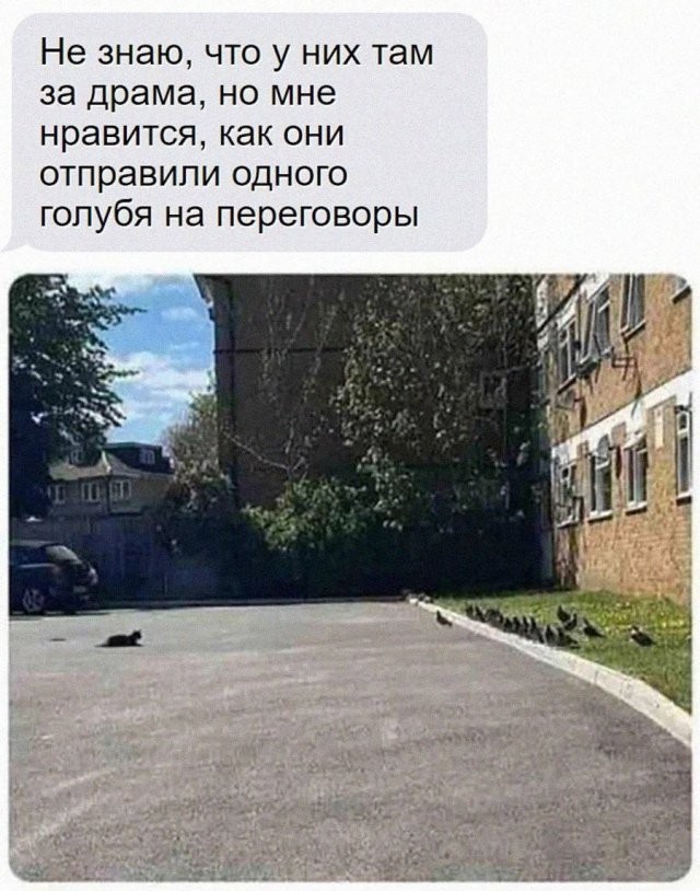 Завалялось тут случайно немного забавных картинок