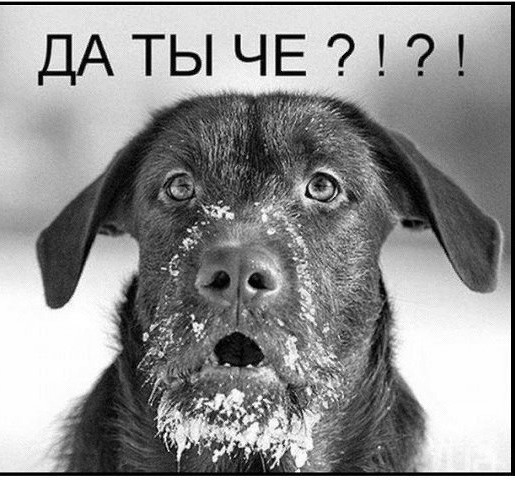 Зима близко!