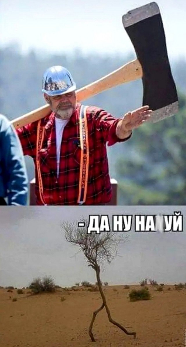 Картинков разных вам..