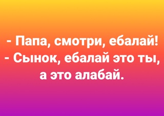 Что получится, если скрестить алабая и чихуа? Как вообще выглядят метисы крупных и мелких пород собак
