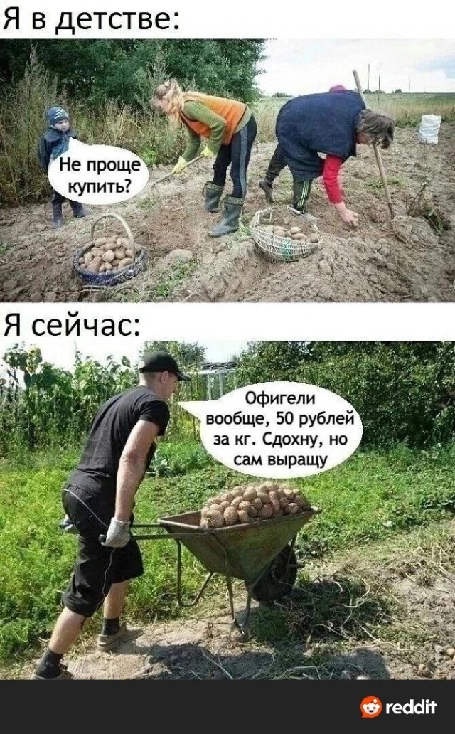 Стоимость картошки в России доросла до исторического рекорда