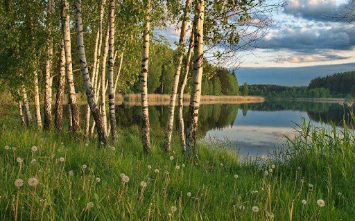 С чего для вас начинается Родина?