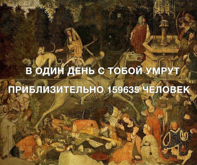 Так себе картинки 23.07.25