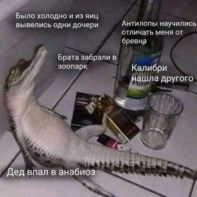 Картинки для деградации 60 (разной степени свежести)