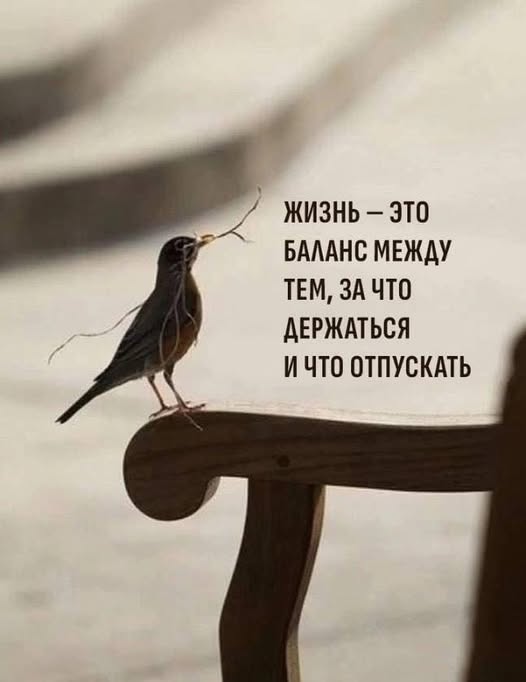 Веселое настроение в картинках