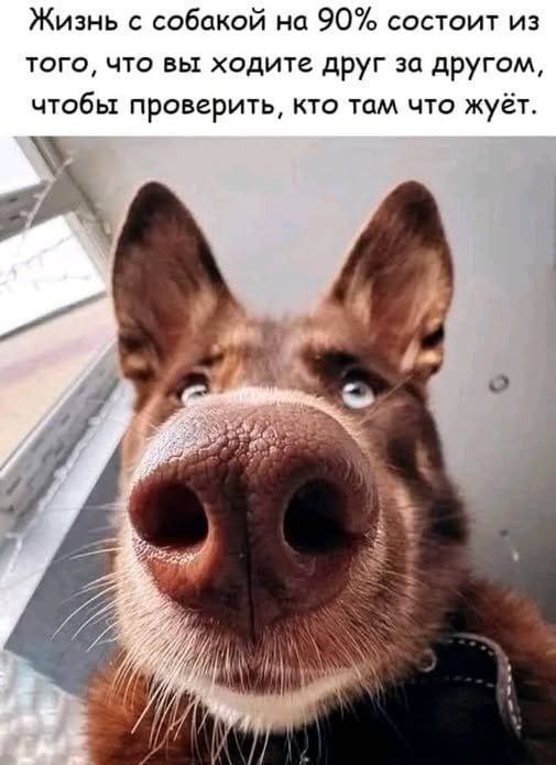 Воскресные картинки