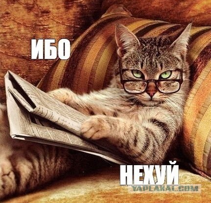Фото из анналов №2