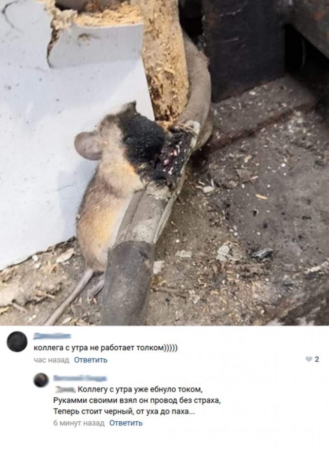 О пользе изучения электробезопасности
