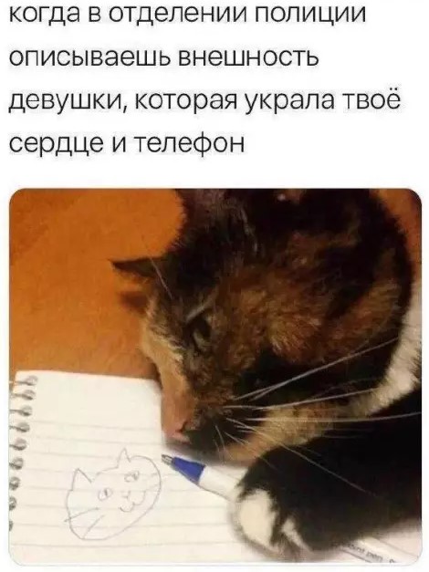 Веселые картинки в пятницу (20.03)