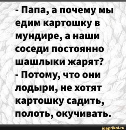 Картинки для деградации 164 (разной степени свежести)