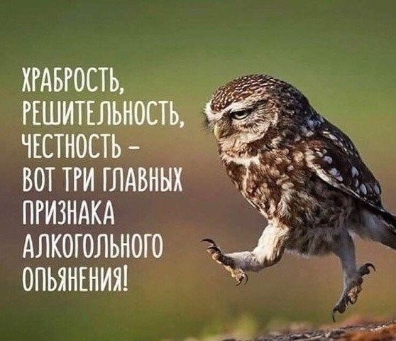 Мемчики