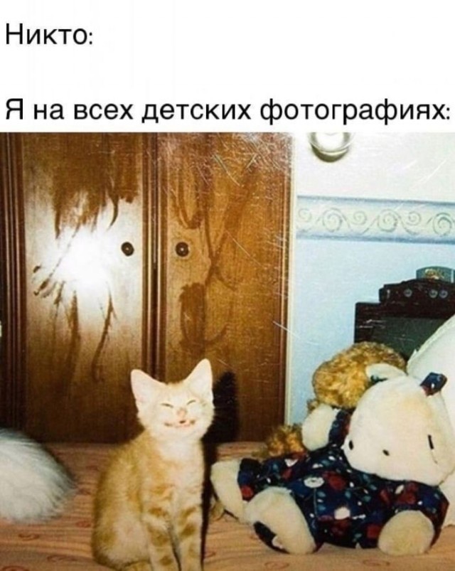 Картинки для деградации 248 (разной степени свежести)