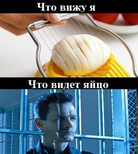 Веселые картинки в пятницу (14.08)
