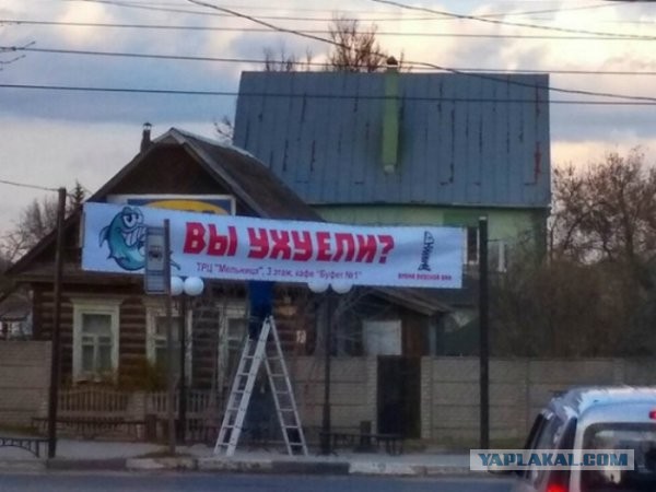 Шаурма