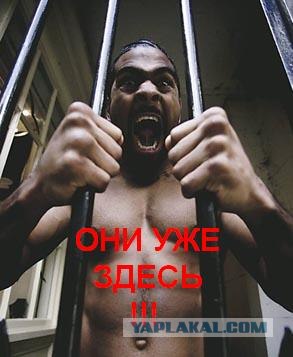 Не открывайте форточку и окно