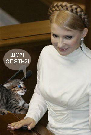 Тема для юмора