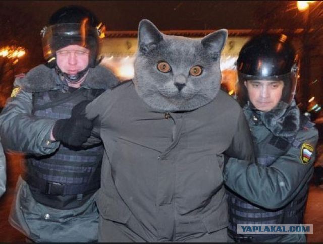 Известен будущий президент Украины