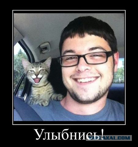 Смешные картинки и комментарии