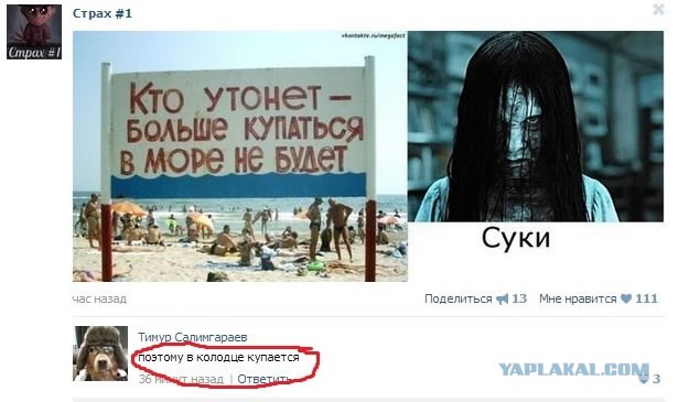 Смешные комментарии из социальных сетей