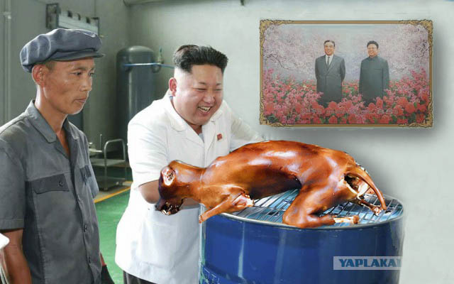 Довольный лидер