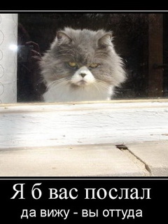 Немного смешных картинок из сети