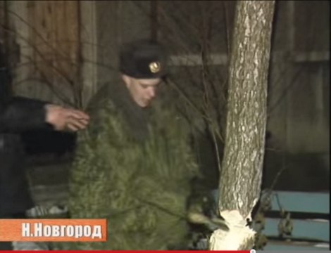 Фотожабы про спасение Барсика