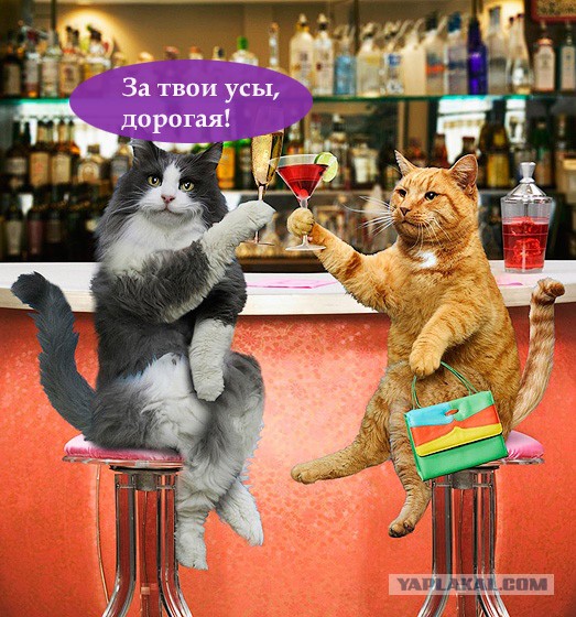 Жизнь - боль