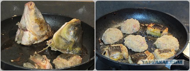 Гефилте фиш