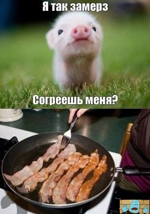 Пятничная подборка