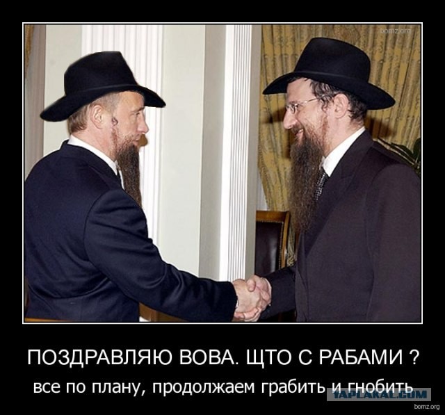 Свой среди своих