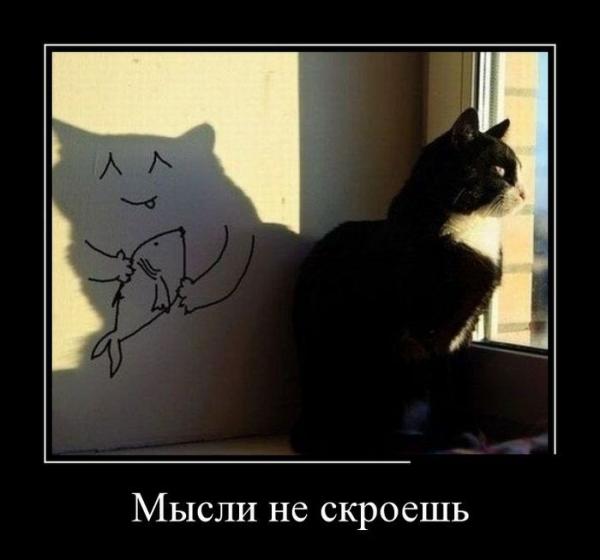 Веселые картинки