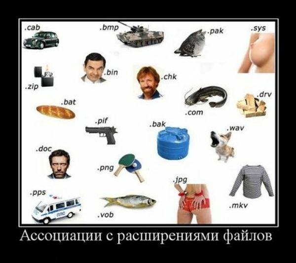 Как произносить расширения файлов правильно?