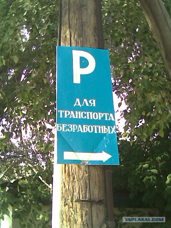 Интересные и смешные фото