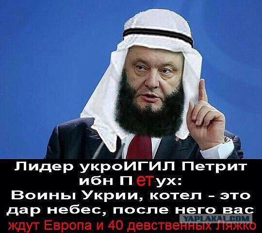 Смешные картинки