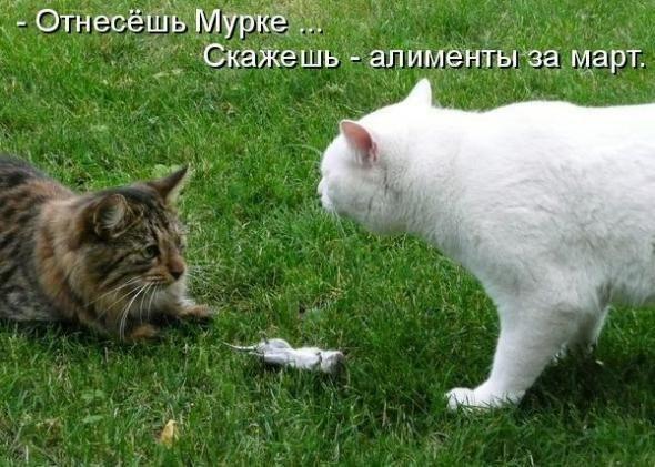 Веселые картинки