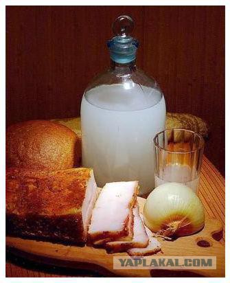 Утомленные икрой: какая она, жизнь на Камчатке?