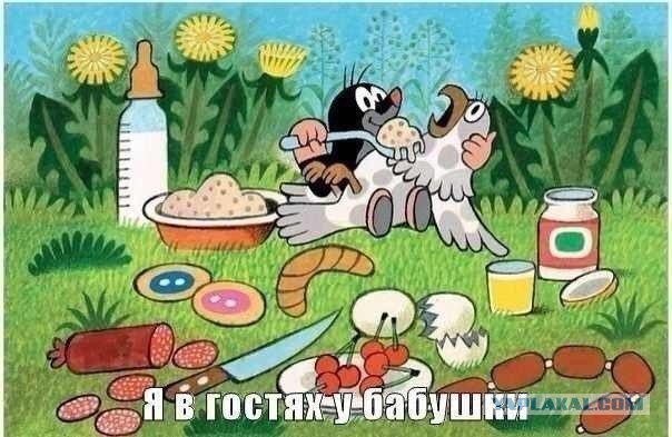 д. Городня