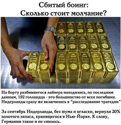 Нидерланды знают, что Боинг сбила Украина