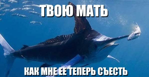 Веселые картинки