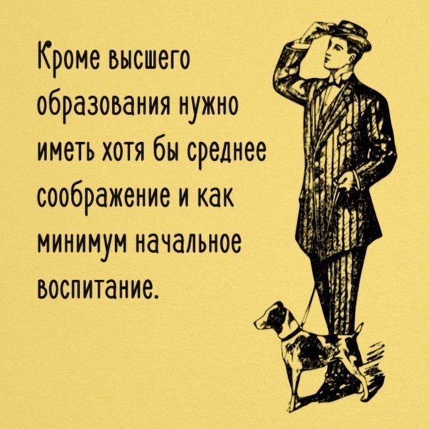 Смешные комментарии 23.02.2016