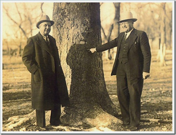 Начерпано баянистых историй