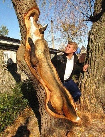 Интересные и веселые картинки