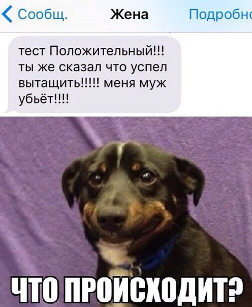 Ужасы и приколы из соцсетей 18+