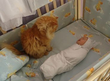Интересные и веселые картинки